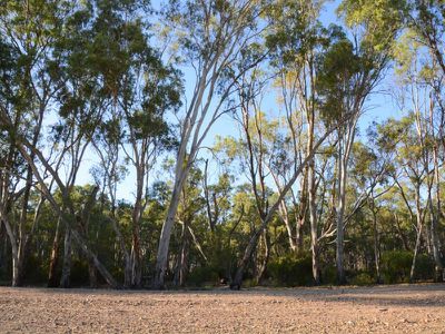 Riverview Drive, Barham