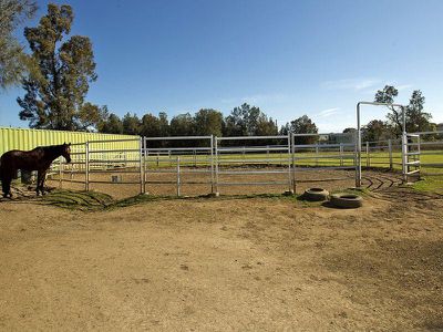 24 Spoonbill Place, Albion Park Rail