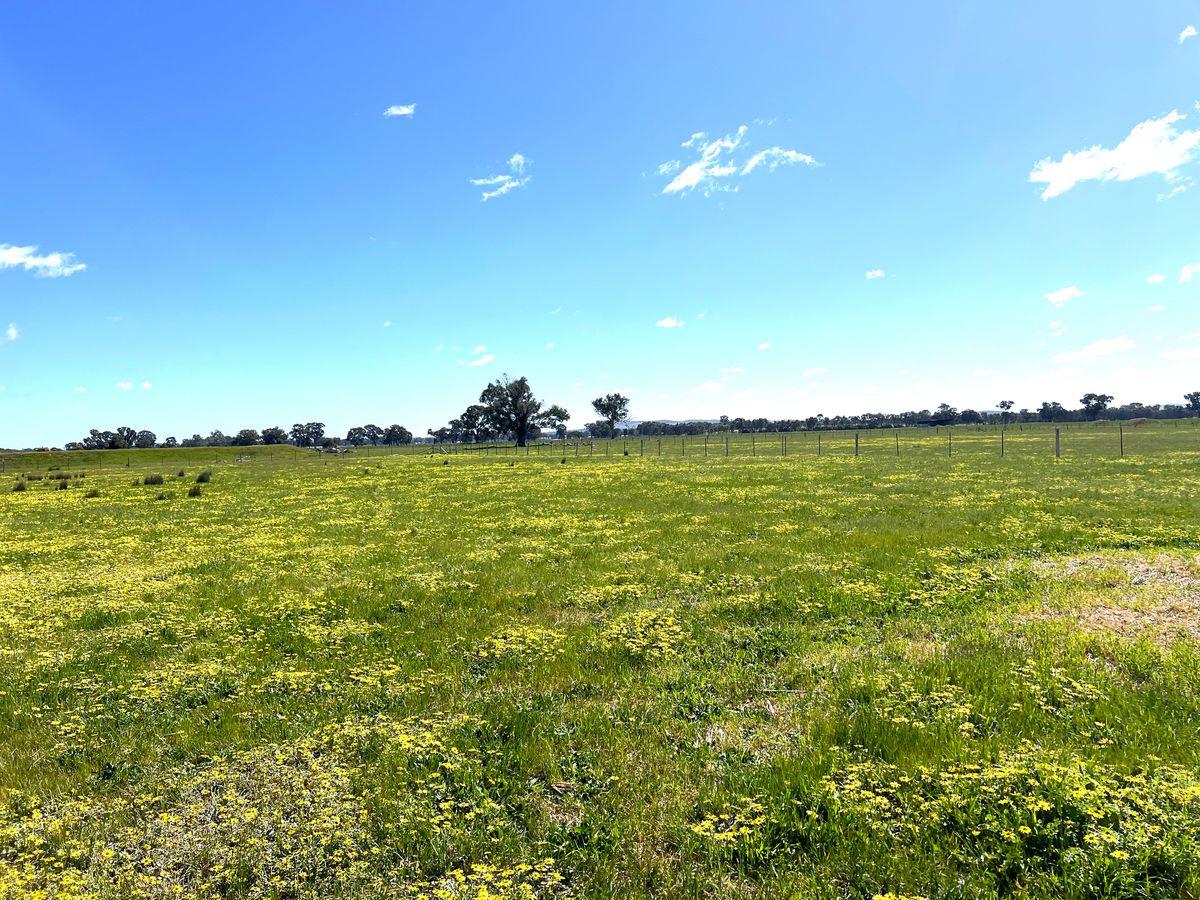Lot 1, Dennis Road, Benalla