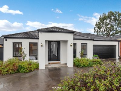 14 Blainroe Crescent, Cranbourne