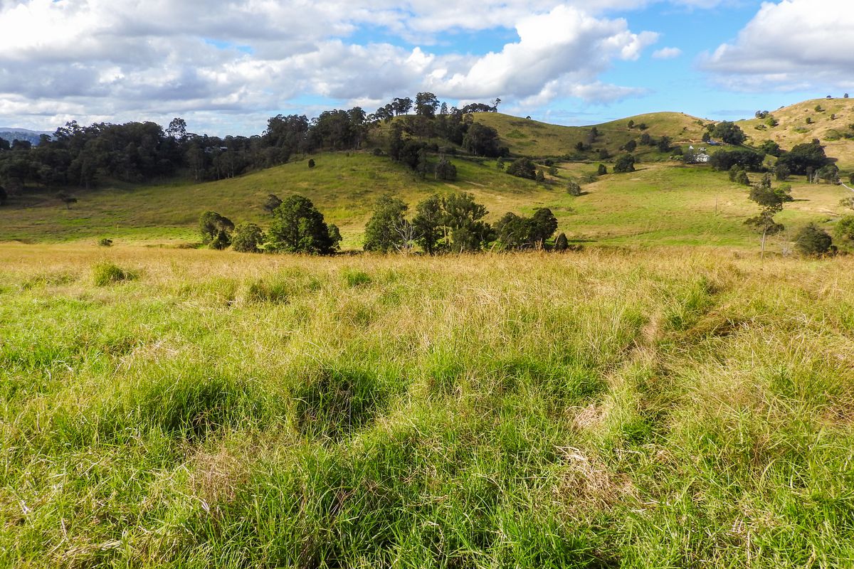 678 Bunyah Road, Coolongolook