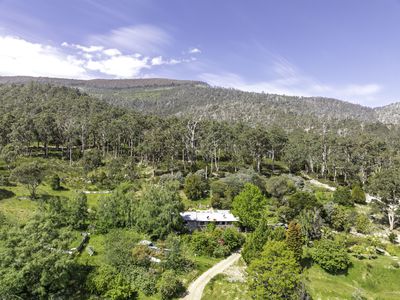 242 Woolleys Road, Lonnavale