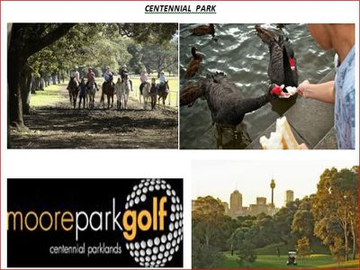 9 / 15 Boronia Street, Kensington