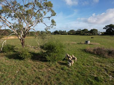 Lot 5, Boandik Drive, Millicent