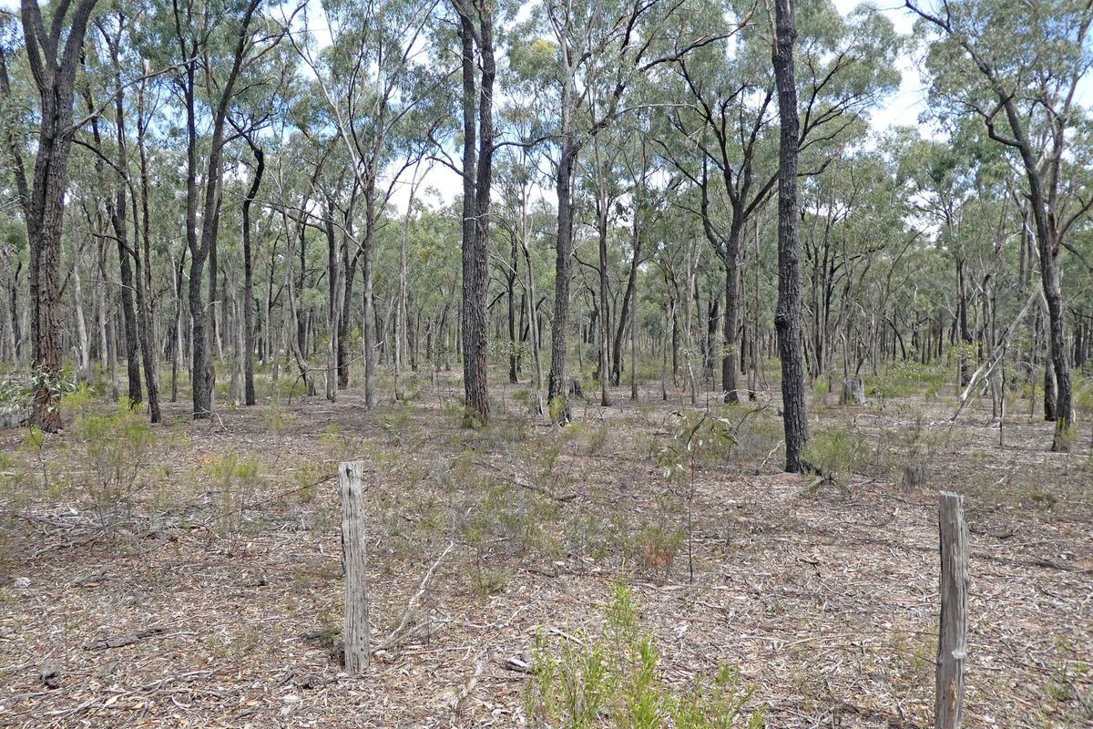 Abikhair Lane, Rushworth
