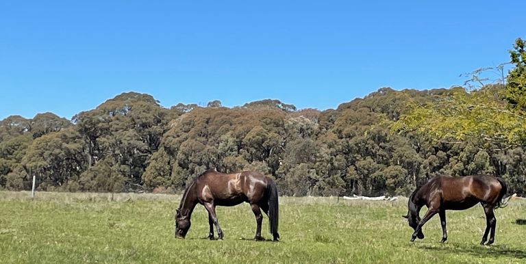 Lot 1 & 2, Bonnie Doon Road  , Marraweeney