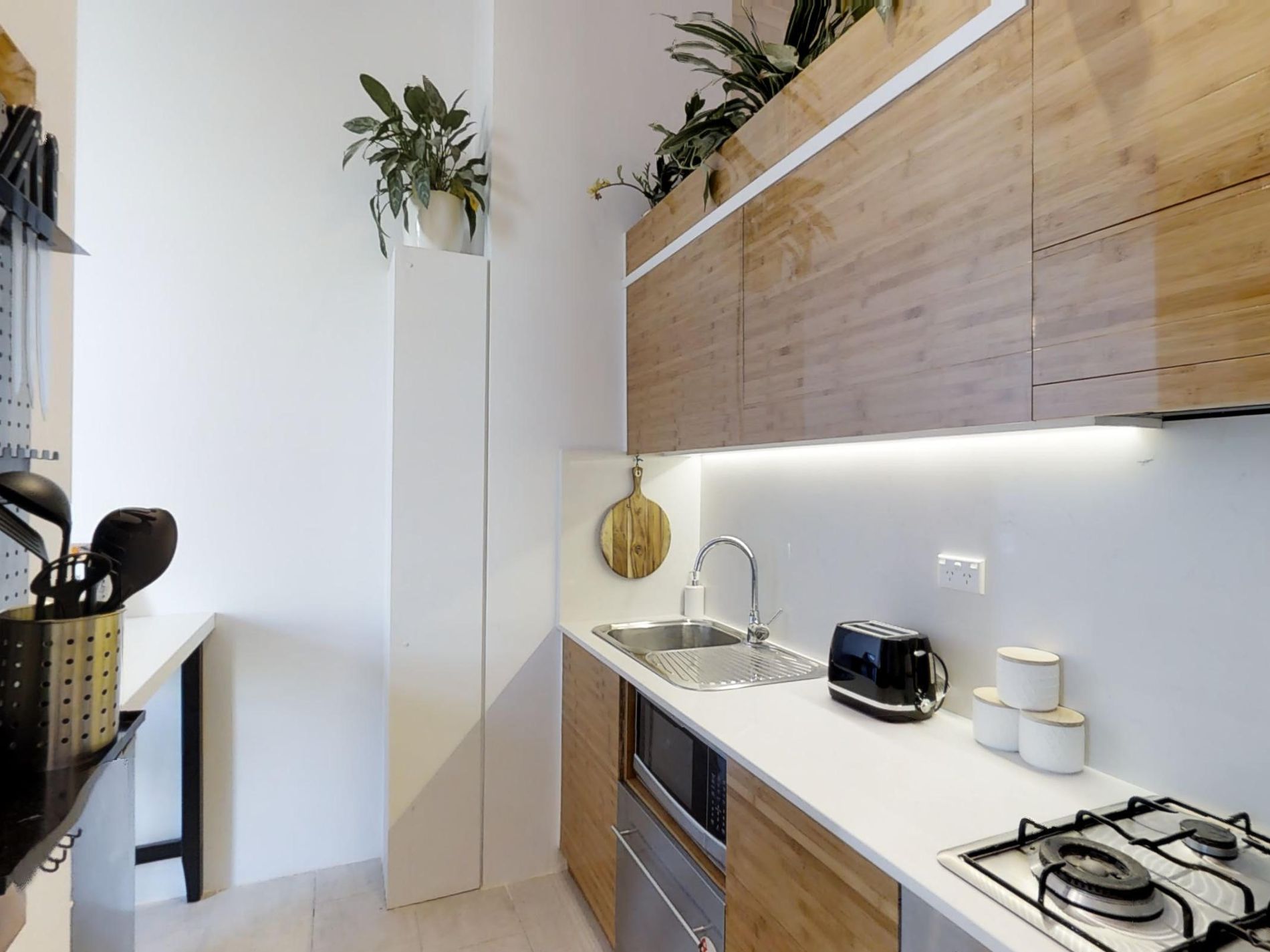 314 / 105 Campbell Street, Surry Hills