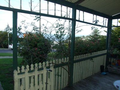 233 Imlay Street, Eden