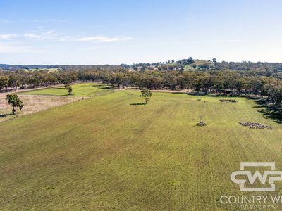 Lot 8, - Emmaville Road, Emmaville
