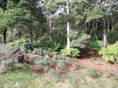 59 Allens Road, Sisters Creek