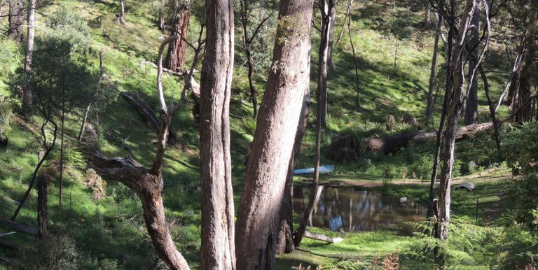 11 / Tames Road, Strathbogie