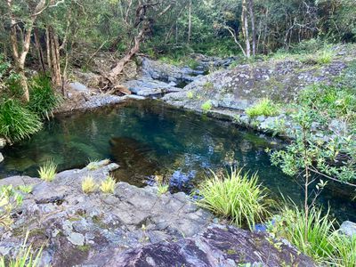 Lot 94, 2667 Pappinbarra Road, Pappinbarra