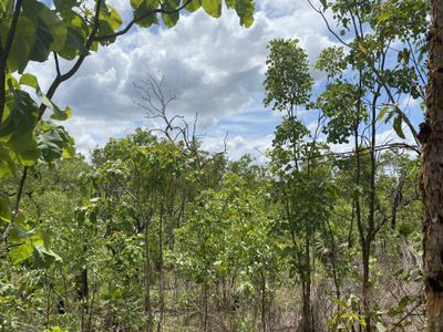 253 Stephen Road, Marrakai