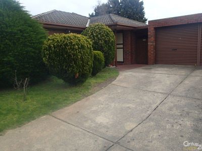 41 Clive Street, Hampton Park