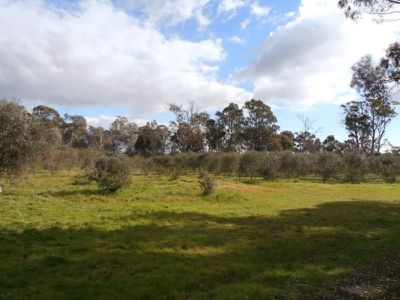 555 School House Lane, Tallarook
