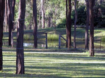 87 Thompson Road, Nanango