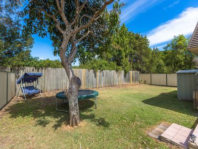 26 Cooinda Crescent, Maroochydore
