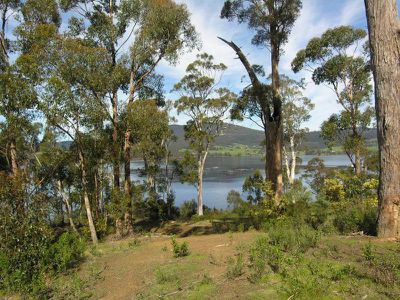 Lot 1 Cygnet Coast Road, Petcheys Bay