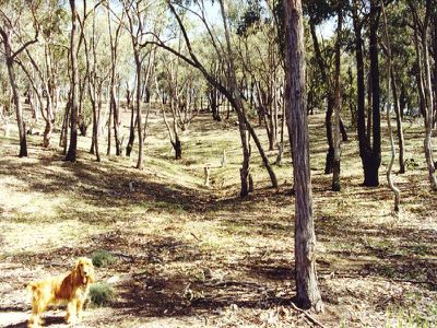 LOT 5 BRADLEYS LANE, Heathcote