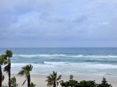 Palm Beach