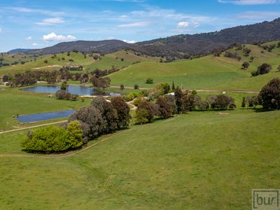275 Soldier Settlers Road, Tallangatta Valley