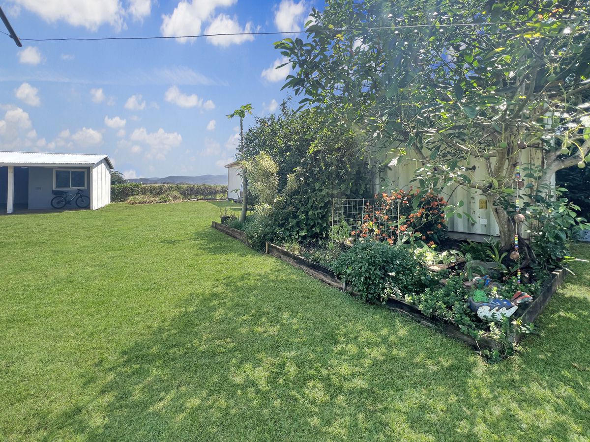 16 Irvine Street, Kairi