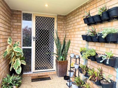 25 Wattle Crescent, Raceview