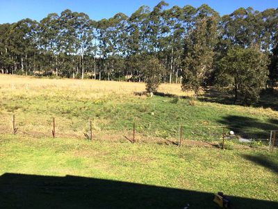 15 Carefree Road, Nabiac