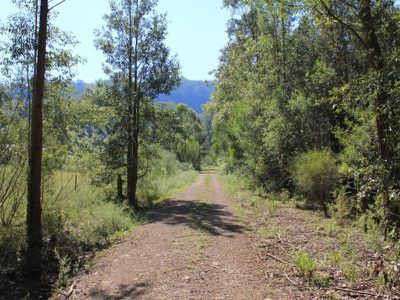 374 Bugong Fire Trail, Kangaroo Valley
