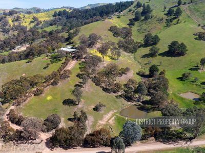 Bonnie Doon