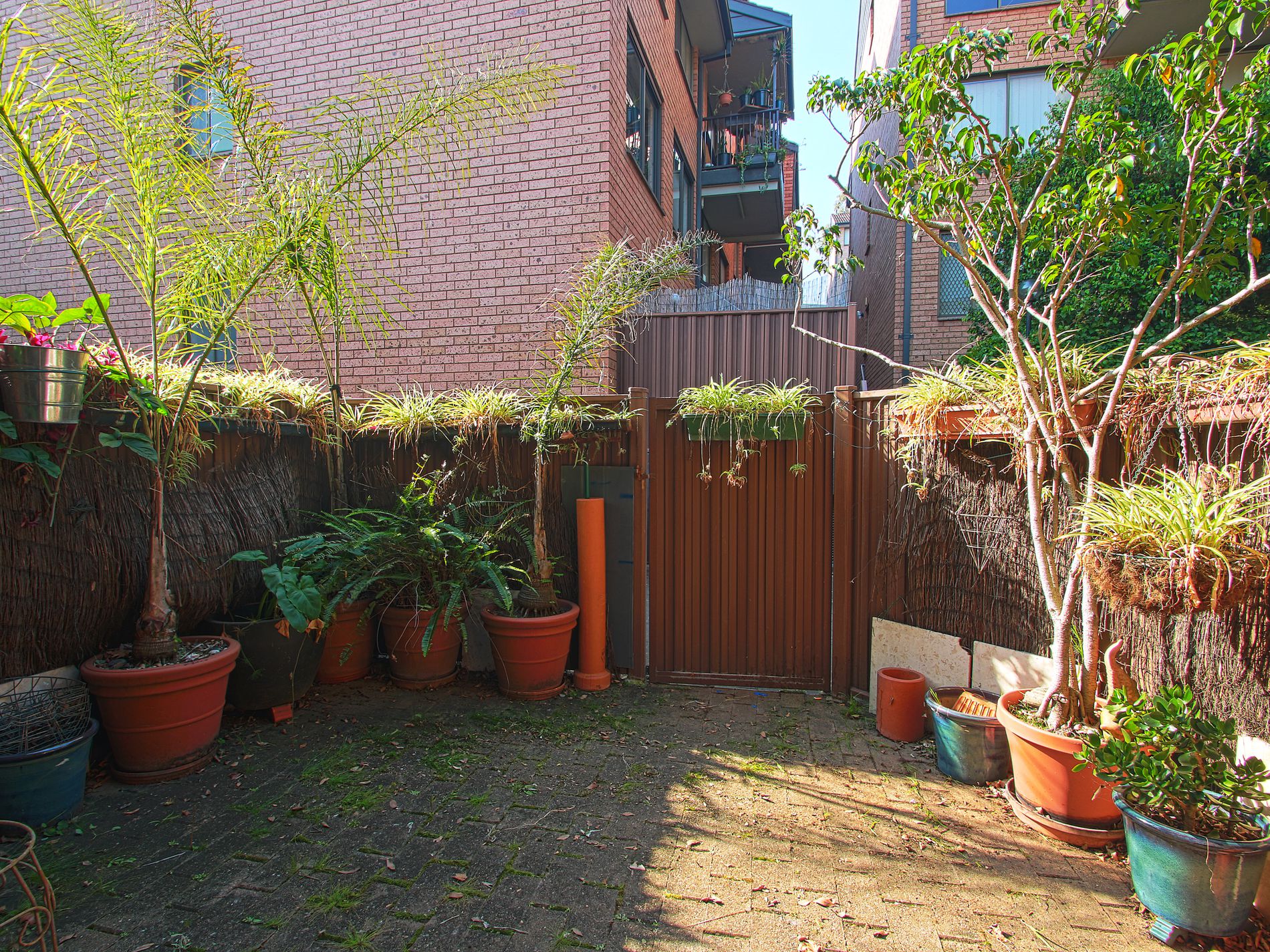 6 / 492-500 Elizabeth Street, Surry Hills
