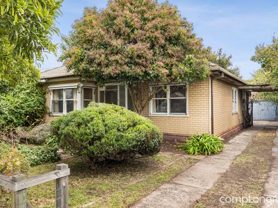 29 Seabeach Parade, North Shore