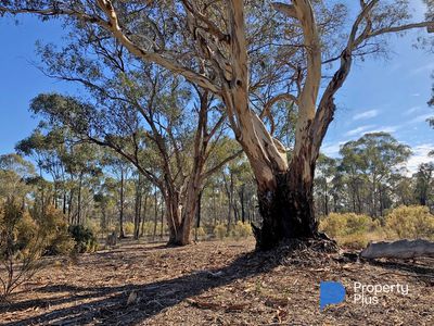 1 Bendigo-Maryborough Road, Shelbourne