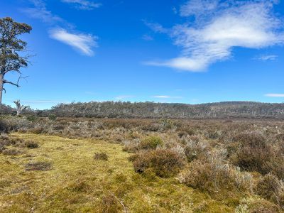 331L Arthurs Lake Road, Arthurs Lake