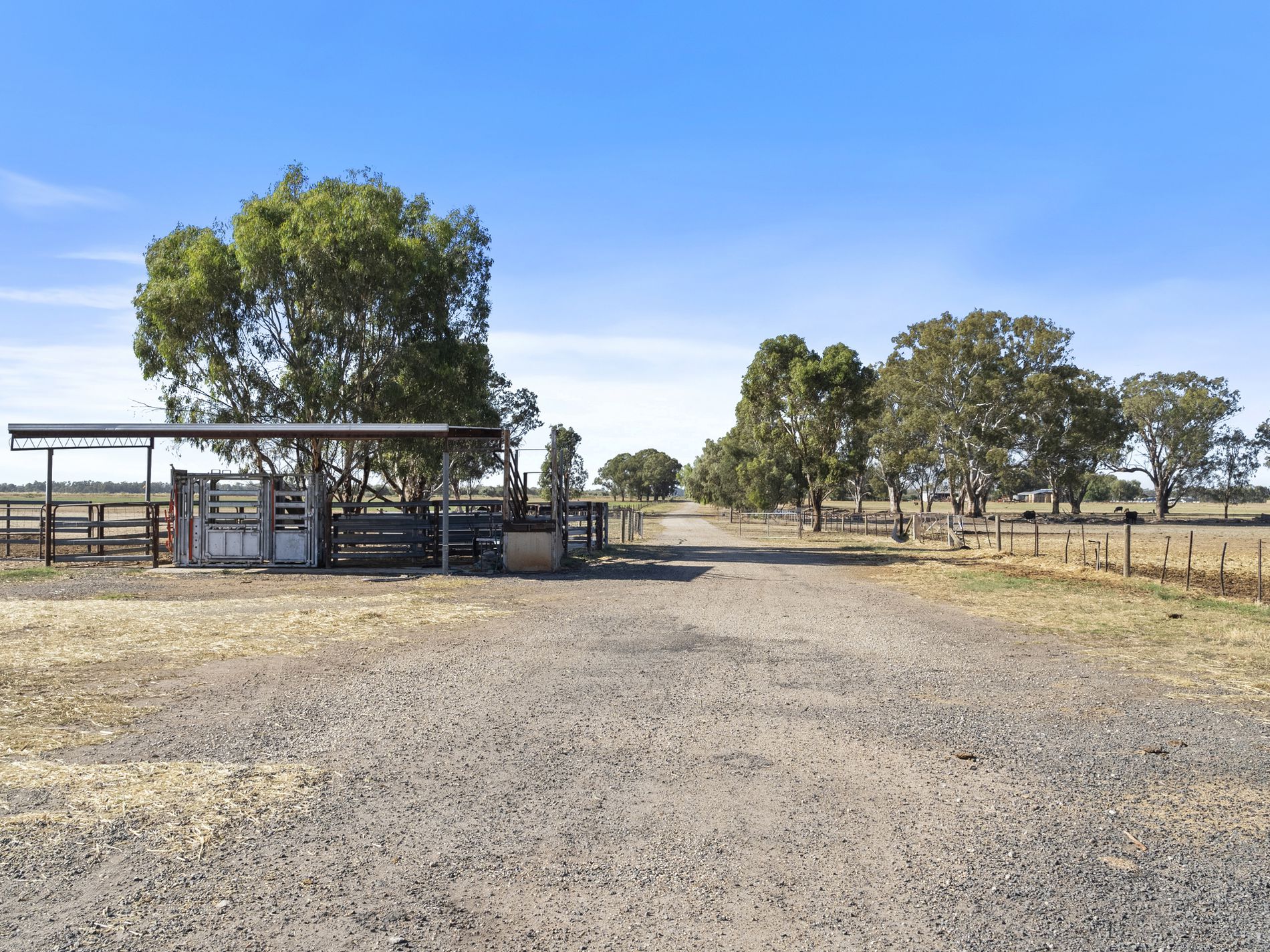 Lot 63, McCullochs Road, Tocumwal