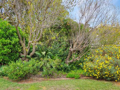 8 Acacia Street, West Wyalong