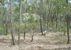 Lot 13, Mount Aquila Road, Stuart Town