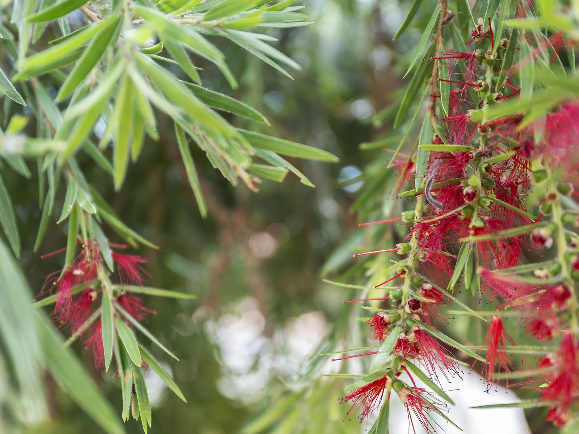 30 / 2 North Street, Golden Beach