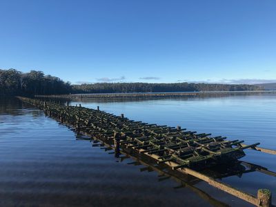 100 Cockle Creek Road, Recherche