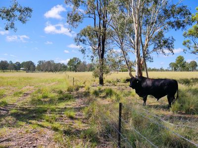1311 Memerambi-Gordonbrook Road, Kingaroy