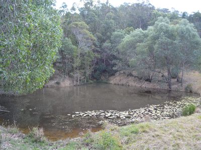 1280 OBI OBI ROAD, Kidaman Creek