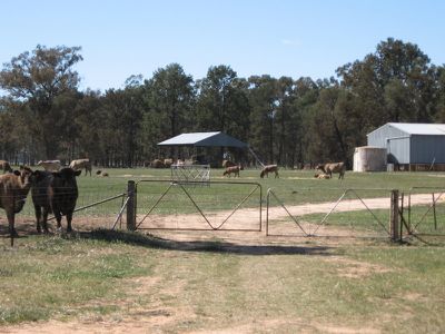 Back Walbundrie-Rand Road, Rand