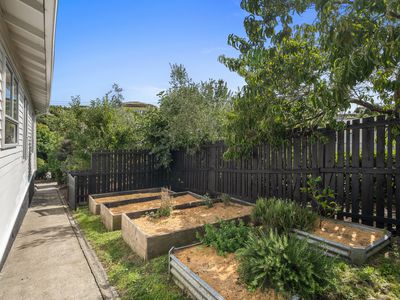 19 Scotia Street, Wakatu