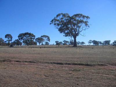 LOTS 1 - 4 VYE LANE, Derrinal