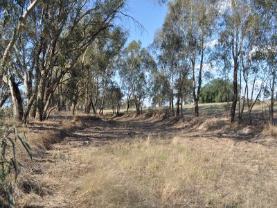 . Henty-walla Road, Culcairn