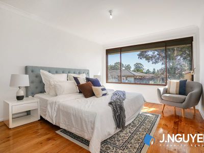 20 Broadmeadows Street, St Johns Park