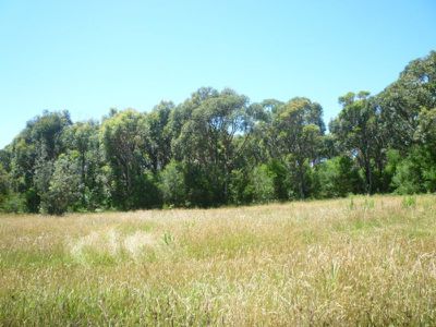 10 Princes Highway, Burrill Lake