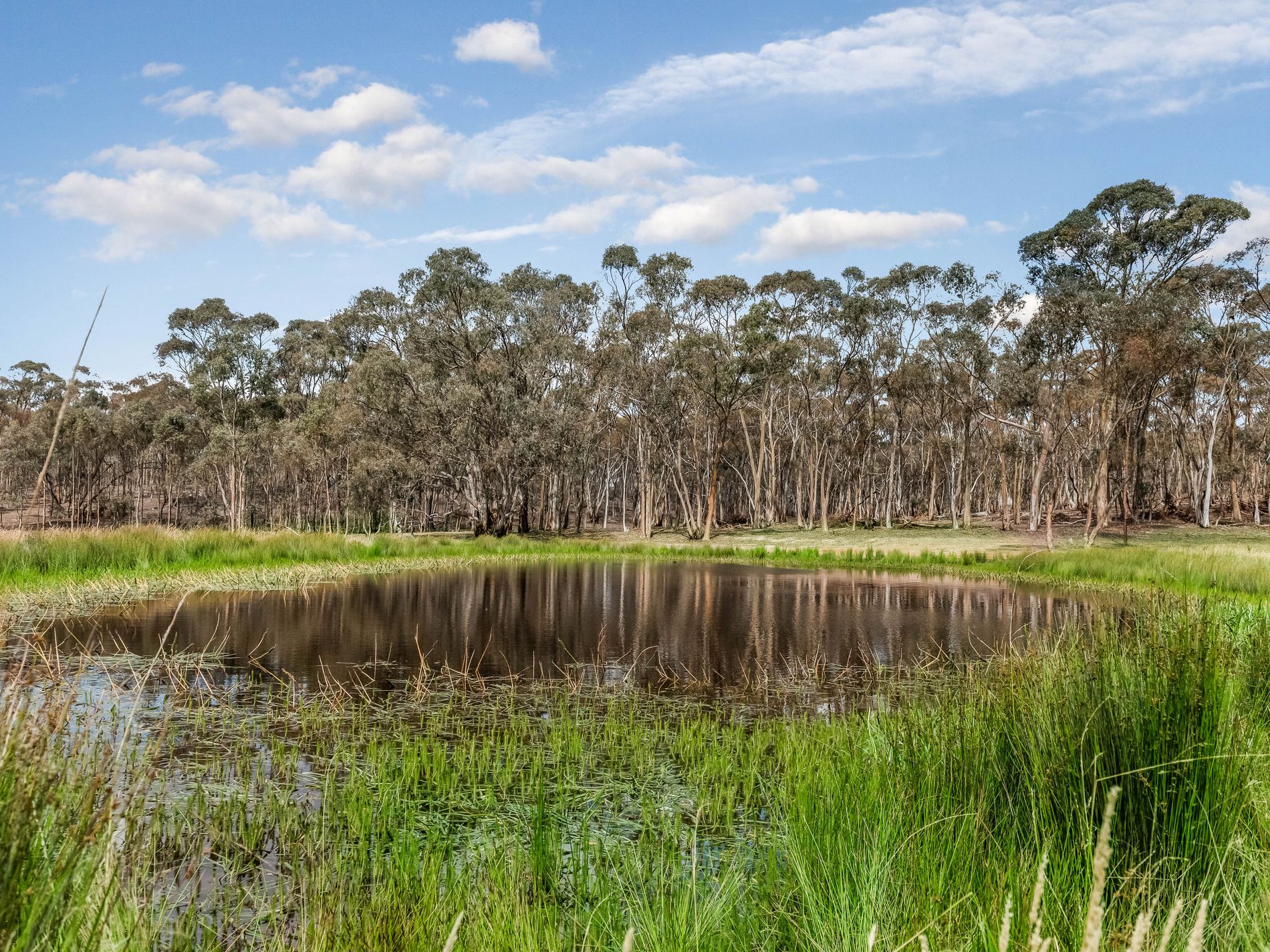 503 Mia Mia-Derrinal Road, Heathcote