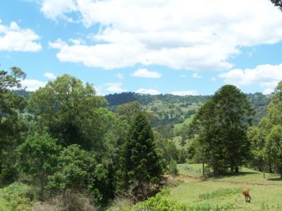 Maleny