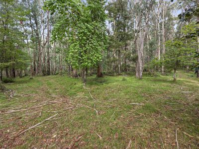 62 Shane Lane, Tolmie